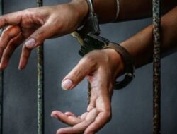 Polisi Catat 309 Warga Asing Terlibat Kasus Kriminal di Bali Sepanjang 2025